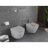 Mexen Lena Rimless WC su Dubenėliu, Lėta Uždarymo Slim Duroplast, Šviesiai Pilkas Matinis - 30224061