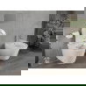 Mexen Rico wc dubuo Rimless su lėtai nusileidžiančiu plonu dangčiu, duroplast, blizganti balta - 30720300