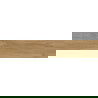 Mexen Jasperwood Almond glazūruotos rekt. G1, medžio imitacijos grindų-sienų plytelė 120 x 20 cm, matinės