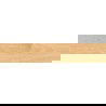 Mexen Jasperwood Smėlio spalvos glazūruotos akmens masės plytelė rektifikuota G1, medžio imitacija, grindų-sienos 120 x 20