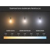 Mexen Vintis LED filamentinė lemputė E27, G45, 2W, Šilta - 2700K, 240 lm, skaidri - L156-E27-0227-00