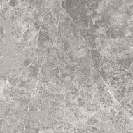 Mexen Lizard Pilkas glazūruotas gres rekt. G1, grindų ir sienų plytelė 60 x 60 cm, blizgi - TL109-060-060-02