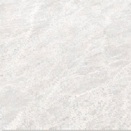 Mexen Lizard Sidabrinė glazūruota keraminė plytelė, grindų ir sienų, 60 x 60 cm, blizgi - TL109-060-060-03