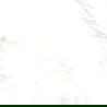 Mexen Bliss Baltas glazūruotas rekt. G1, grindų-sienų plytelė 60 x 60 cm, blizgus - TL149-060-060-00