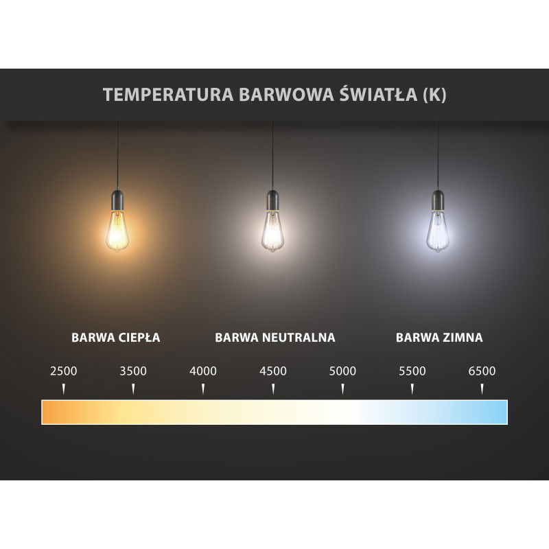 Mexen Nova 10x LED lemputė E14, G45, 9W, Šalta - 6500K, 945 lm - L101-E14-0965-01x10