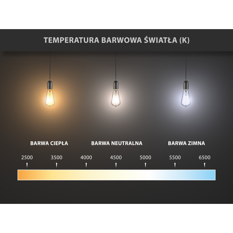 Mexen Vintis 3x LED filamentinė lemputė E27, A60, 4W, Šilta - 2700K, 470 lm, skaidri - L150-E27-0427-00x03