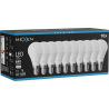 Mexen Nova 10x LED lemputė E14, G45, 8W, Neutrali - 4000K, 840 lm - L101-E14-0840-01x10