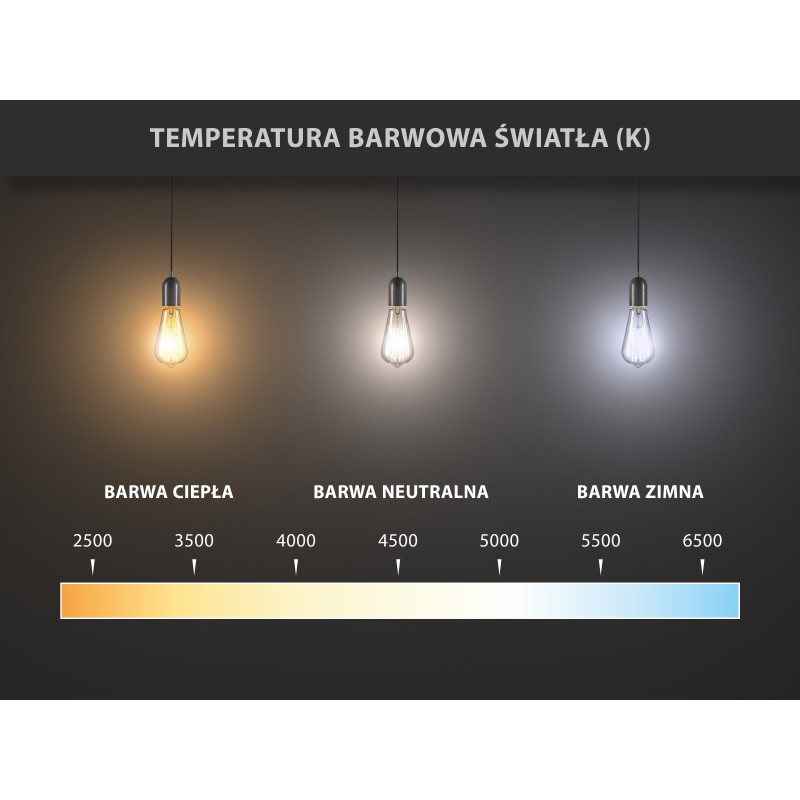 Mexen Vintis 6x šviesolaidinė LED lemputė E27, G80, 6W, Neutralus - 4000K, 720 lm, skaidri - L155-E27-0640-00x06