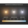 Mexen Vintis 6x šviesolaidinė LED lemputė E27, G80, 6W, Neutralus - 4000K, 720 lm, skaidri - L155-E27-0640-00x06