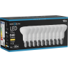 Mexen Nova 10x LED lemputė E14, R50, 8W, Šilta - 3000K, 840 lm - L103-E14-0830-01x10
