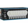 Mexen Vintis 10x lemputė filamentinė LED E14, G45, 2W, Neutrali - 4000K, 240 lm, skaidri - L156-E14-0240-00x10