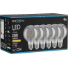 Mexen Vintis 6x LED filamentinė lemputė E27, G80, 4W, Šilta - 2200K, 280 lm, dūminė - L155-E27-0422-70x06