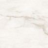 Mexen Brakel Auksinis glazūruotas rektifikuotas G1, grindų ir sienų plytelė 60 x 60 cm, blizgus - TL110-060-060-00