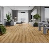 Mexen Beaver Creek vinilinių LVT Dryback 2,5 mm plokščių pavyzdys, PVC pagrindas, 4 V-Fuga, Ąžuolas - F1302-S