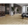 Mexen Sun Valley vinilinių LVT Dryback 2,5 mm plokščių pavyzdys, PVC pagrindas, 4 V-Fuga, Ąžuolas - F1306-S