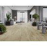 Mexen Calera pavyzdys vinilinių LVT Dryback 2,5 mm, PVC pagrindas, 4 V-Groove, Ąžuolas - F1320-S