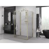 Mexen Exo-3S dušo kabina, 3 sienos, atidaroma, 80 x 120 cm, skaidri, aukso spalvos - 8181-080-120-50-00-3S