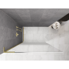 Mexen Kioto L dušo siena Walk-in 110 x 200 cm, balta ombre 8 mm, auksinė šlifuota - 800-110-103-55-86